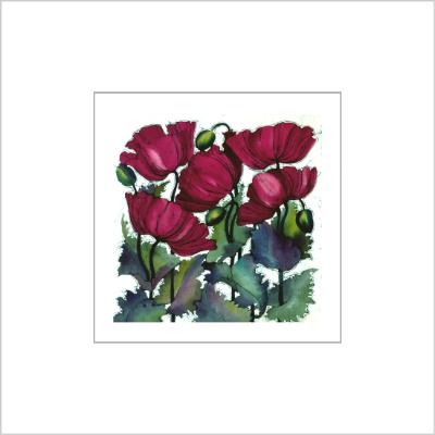 No. 515 Magenta Poppy - signed Small Print.